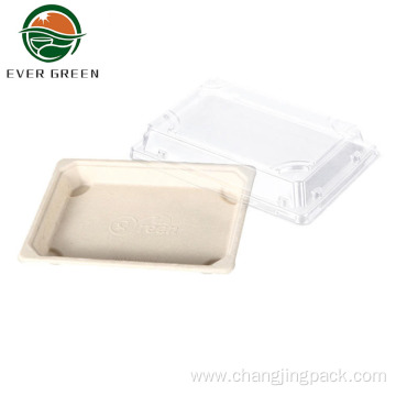 Disposable Food Container Natural Microwavable Food Pulp